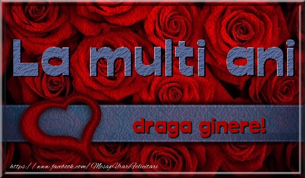 Felicitari de la multi ani pentru Ginere - La multi ani draga ginere