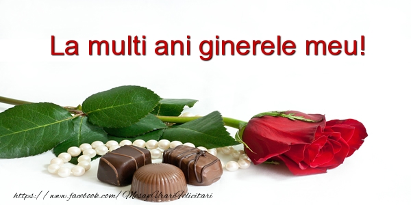 Felicitari de la multi ani pentru Ginere - La multi ani ginerele meu!