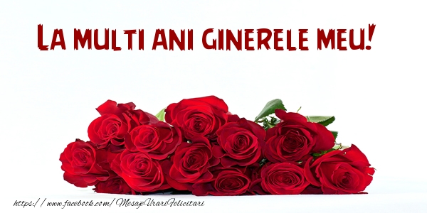 Felicitari de la multi ani pentru Ginere - La multi ani ginerele meu!