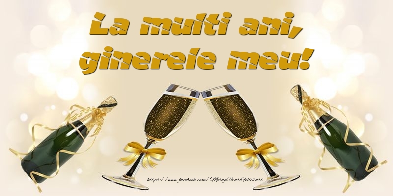 Felicitari de la multi ani pentru Ginere - La multi ani, ginerele meu!