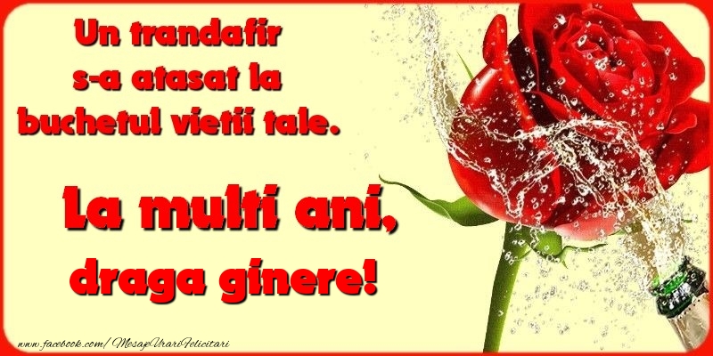 Felicitari de la multi ani pentru Ginere - Un trandafir s-a atasat la buchetul vietii tale. draga ginere