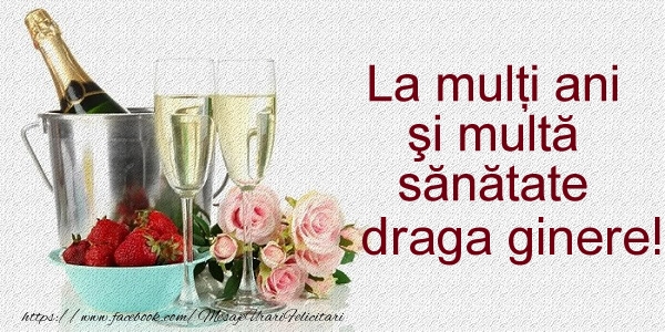 Felicitari de la multi ani pentru Ginere - La multi ani si multa sanatate draga ginere!
