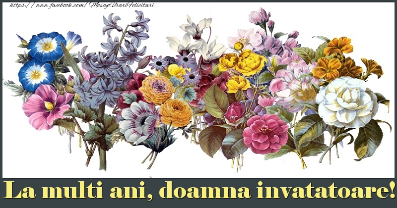 Felicitari de la multi ani pentru Invatatoare - La multi ani, doamna invatatoare!