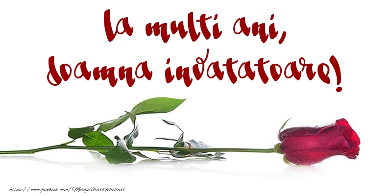 Felicitari de la multi ani pentru Invatatoare - La multi ani, doamna invatatoare!