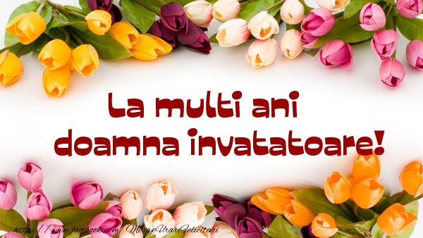 Felicitari de la multi ani pentru Invatatoare - La multi ani doamna invatatoare!