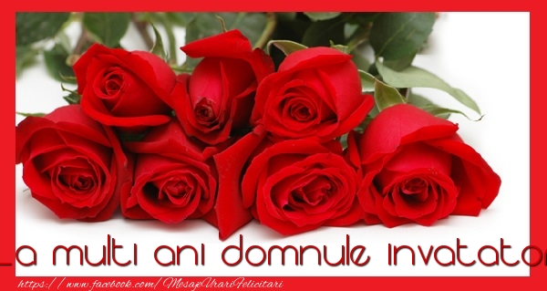 Felicitari de la multi ani pentru Invatator - La multi ani domnule invatator