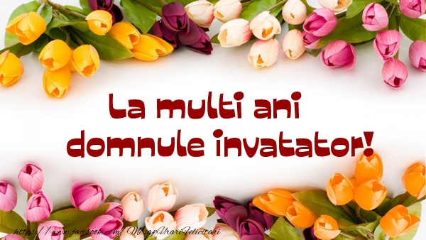 Felicitari de la multi ani pentru Invatator - La multi ani domnule invatator!
