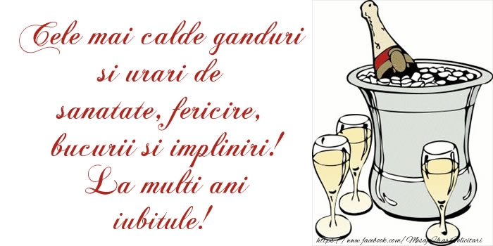 Felicitari de la multi ani pentru Iubit - Cele mai calde ganduri si urari de sanatate, fericire, bucurii si impliniri! La multi ani iubitule!