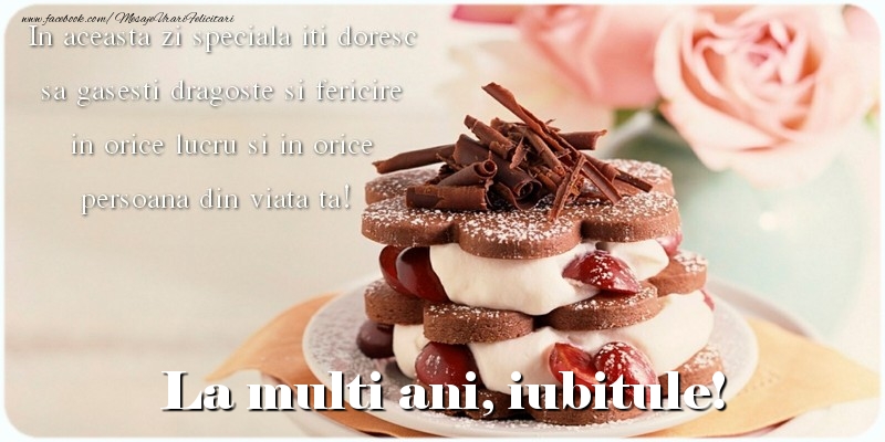 Felicitari de la multi ani pentru Iubit - La multi ani, iubitule. In aceasta zi speciala iti doresc sa gasesti dragoste si fericire in orice lucru si in orice persoana din viata ta!