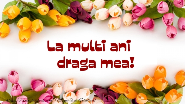 Felicitari de la multi ani pentru Iubita - La multi ani draga mea!