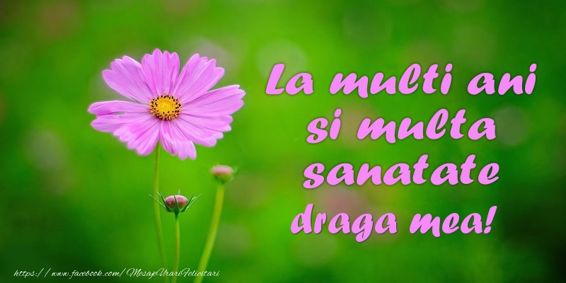 Felicitari de la multi ani pentru Iubita - La multi ani si multa sanatate draga mea!