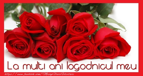 Felicitari de la multi ani pentru Logodnic - La multi ani logodnicul meu