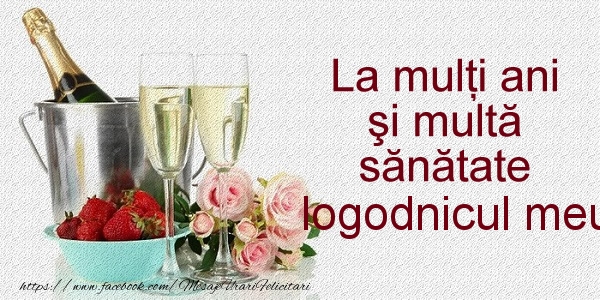 Felicitari de la multi ani pentru Logodnic - La multi ani si multa sanatate logodnicul meu!