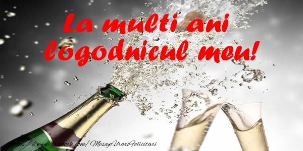 Felicitari de la multi ani pentru Logodnic - La multi ani logodnicul meu!