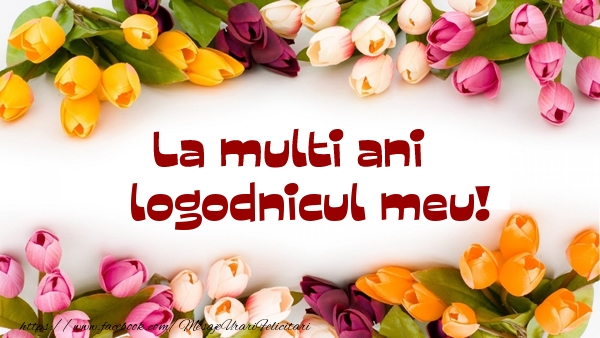 Felicitari de la multi ani pentru Logodnic - La multi ani logodnicul meu!