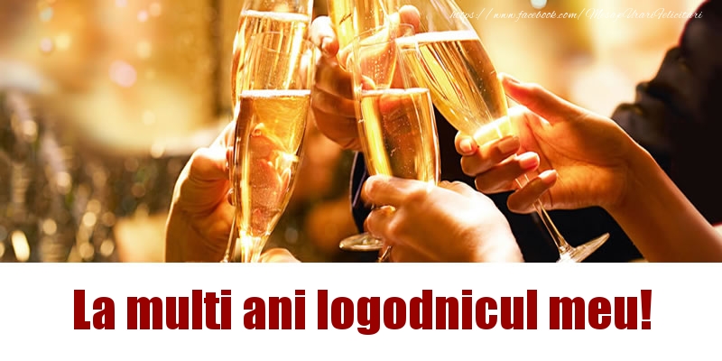 Felicitari de la multi ani pentru Logodnic - La multi ani logodnicul meu!