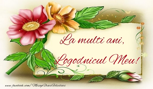 Felicitari de la multi ani pentru Logodnic - La multi ani, logodnicul meu