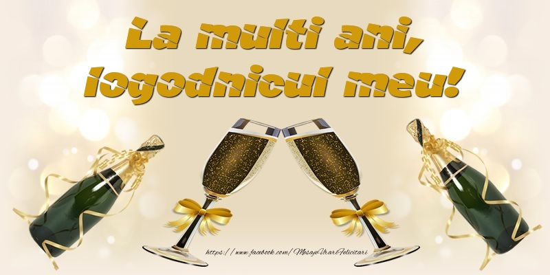 Felicitari de la multi ani pentru Logodnic - La multi ani, logodnicul meu!
