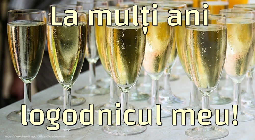 Felicitari de la multi ani pentru Logodnic - La mulți ani logodnicul meu!