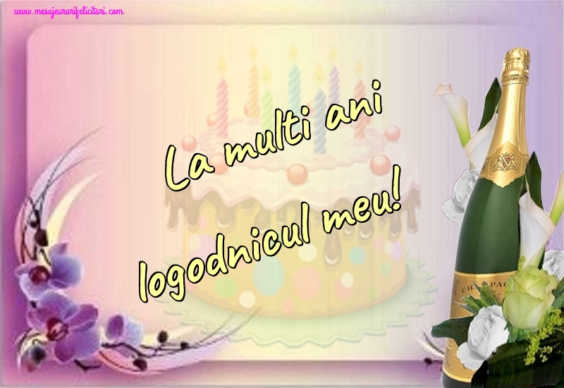 Felicitari de la multi ani pentru Logodnic - La multi ani logodnicul meu!
