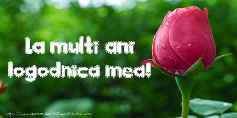 Felicitari de la multi ani pentru Logodnica - La multi ani logodnica mea!