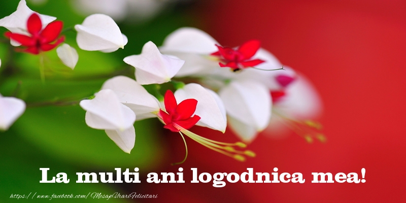 Felicitari de la multi ani pentru Logodnica - La multi ani logodnica mea!