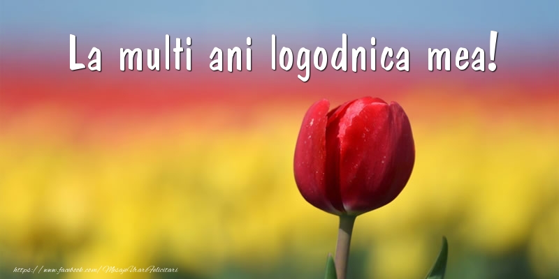 Felicitari de la multi ani pentru Logodnica - La multi ani logodnica mea!