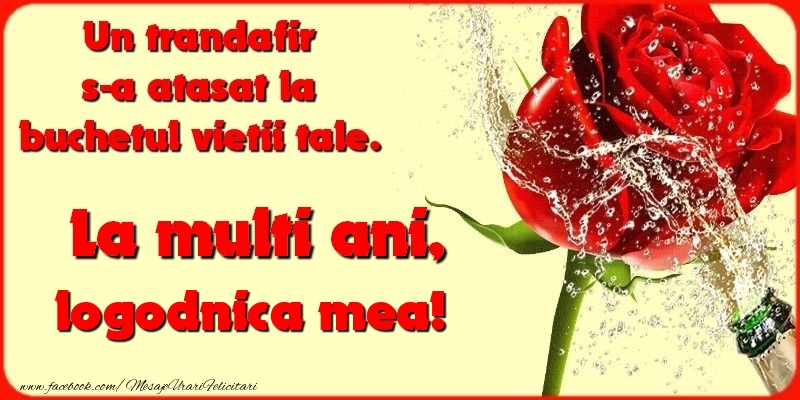 Felicitari de la multi ani pentru Logodnica - Un trandafir s-a atasat la buchetul vietii tale. logodnica mea