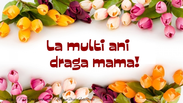 Felicitari de la multi ani pentru Mama - La multi ani draga mama!