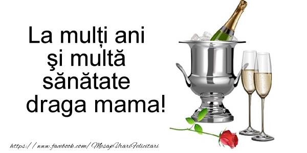 Felicitari de la multi ani pentru Mama - La multi ani si multa sanatate draga mama!