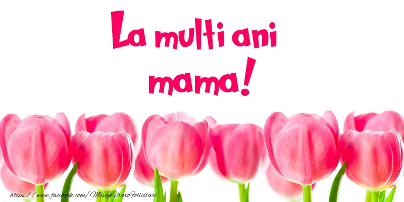Felicitari de la multi ani pentru Mama - La multi ani mama!