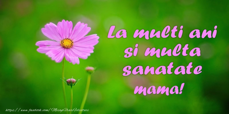 Felicitari de la multi ani pentru Mama - La multi ani si multa sanatate mama!
