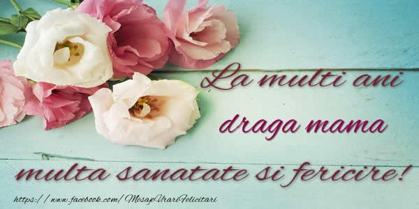 Felicitari de la multi ani pentru Mama - La multi ani draga mama multa sanatate si fericire!