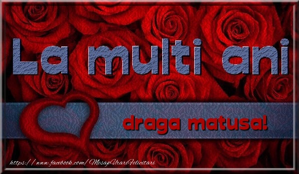 Felicitari de la multi ani pentru Matusa - La multi ani draga matusa