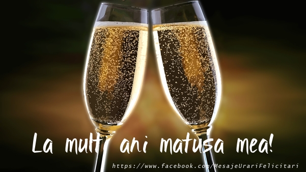 Felicitari de la multi ani pentru Matusa - La multi ani matusa mea!