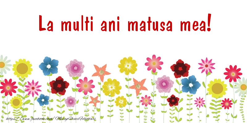 Felicitari de la multi ani pentru Matusa - La multi ani matusa mea!