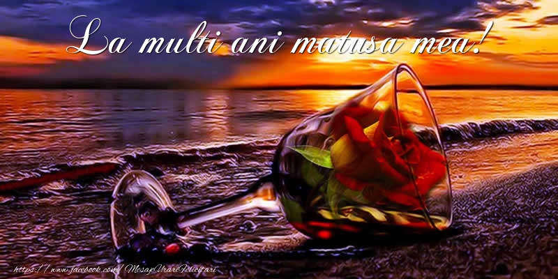 Felicitari de la multi ani pentru Matusa - La multi ani matusa mea!