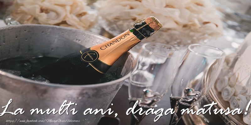 Felicitari de la multi ani pentru Matusa - La multi ani, draga matusa!