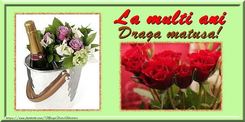 Felicitari de la multi ani pentru Matusa - La multi ani draga matusa