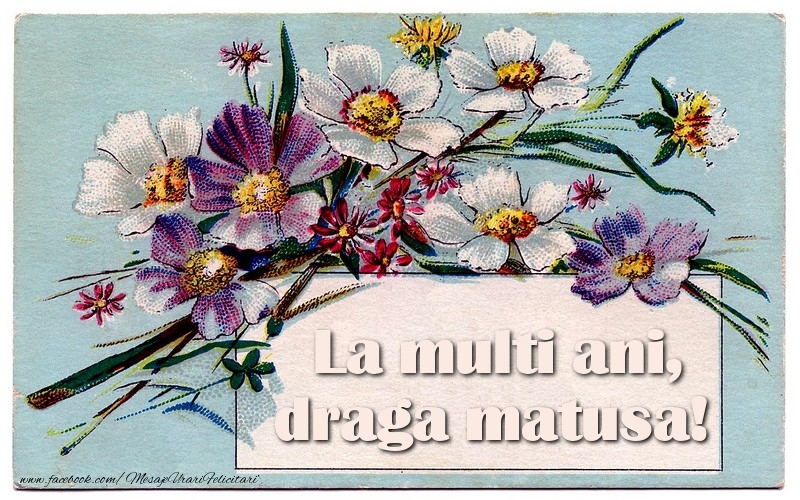 Felicitari de la multi ani pentru Matusa - La multi ani, draga matusa!
