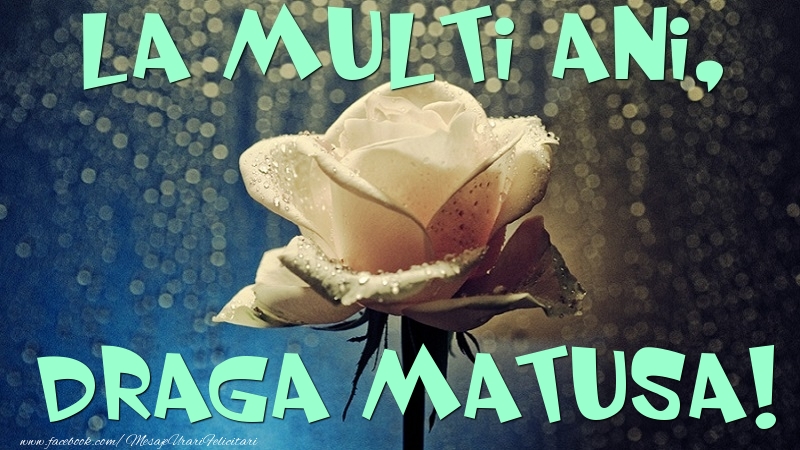 Felicitari de la multi ani pentru Matusa - La multi ani, draga matusa