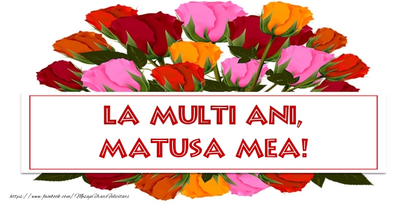 Felicitari de la multi ani pentru Matusa - La multi ani, matusa mea!