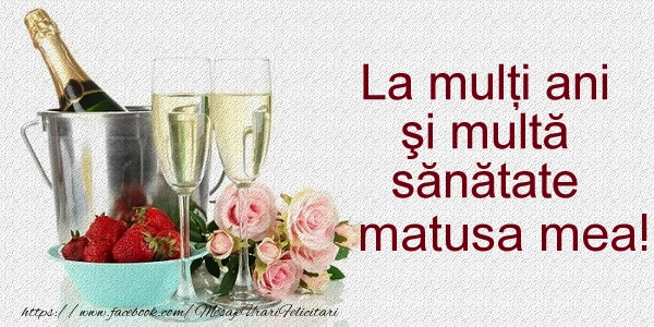 Felicitari de la multi ani pentru Matusa - La multi ani si multa sanatate matusa mea!