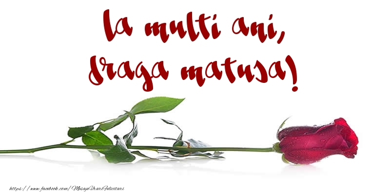 Felicitari de la multi ani pentru Matusa - La multi ani, draga matusa!