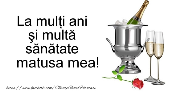 Felicitari de la multi ani pentru Matusa - La multi ani si multa sanatate matusa mea!