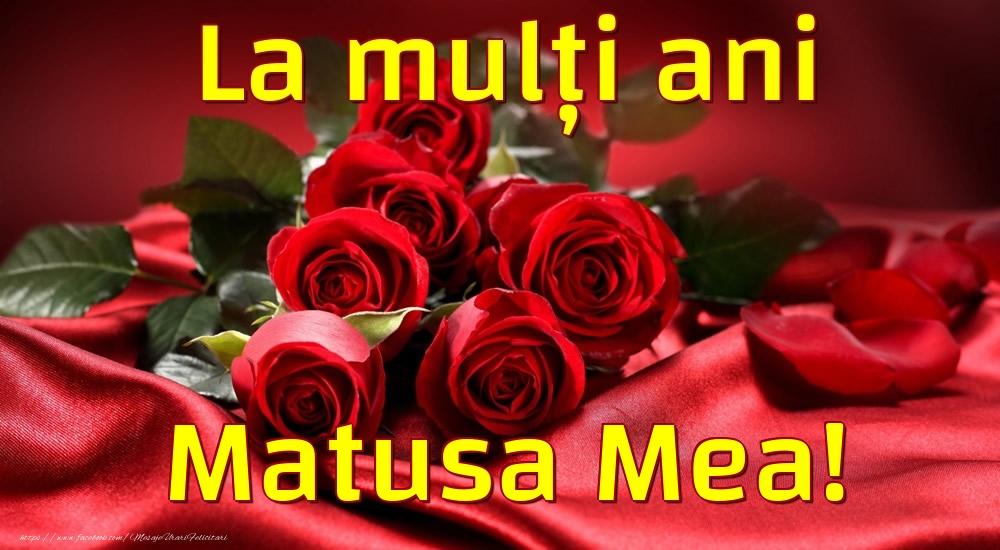 Felicitari de la multi ani pentru Matusa - La mulți ani matusa mea!