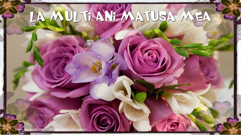 Felicitari de la multi ani pentru Matusa - La multi ani matusa mea