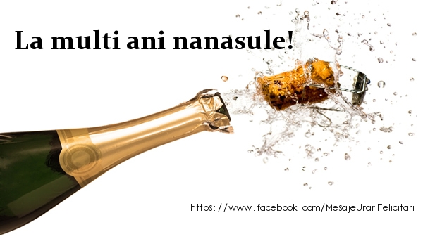 Felicitari de la multi ani pentru Nas - La multi ani nanasule!