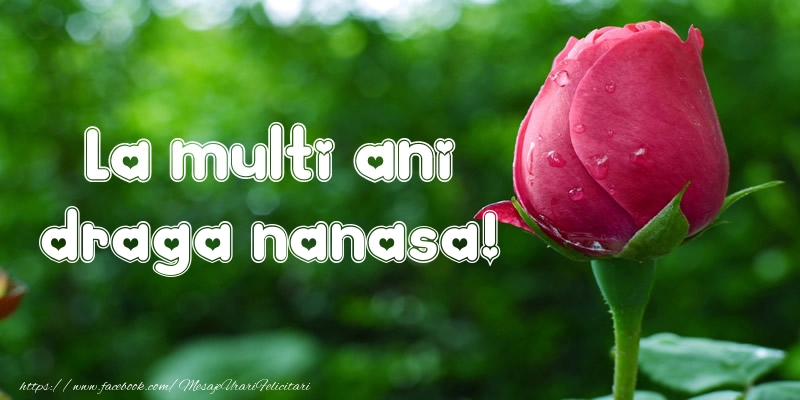 Felicitari de la multi ani pentru Nasa - La multi ani draga nanasa!