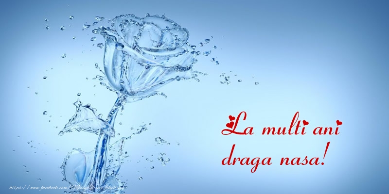 Felicitari de la multi ani pentru Nasa - La multi ani draga nasa!